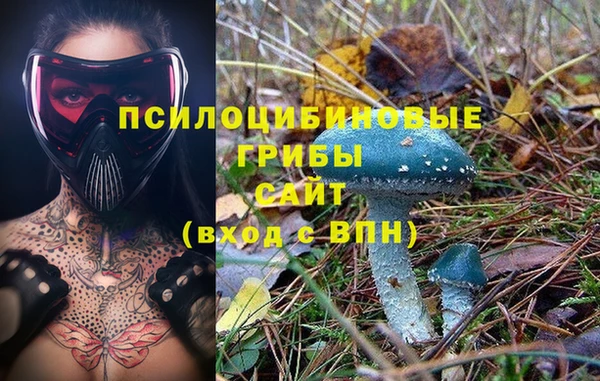 спайс Алзамай