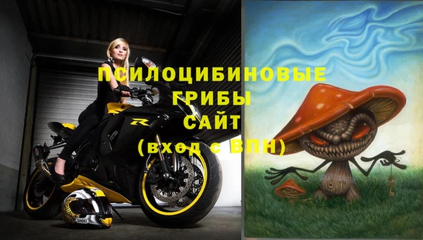 спайс Алзамай
