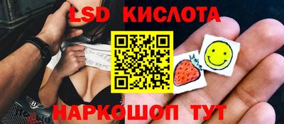 ешки Владимир