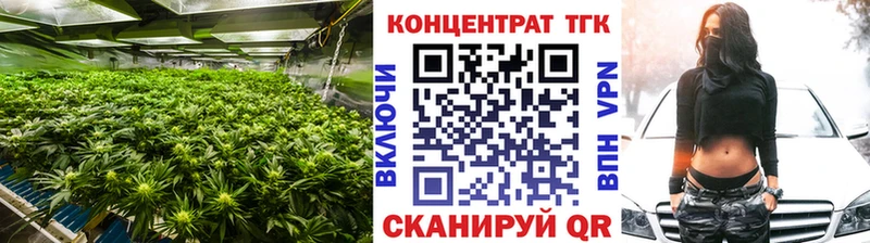 ТГК концентрат Саки