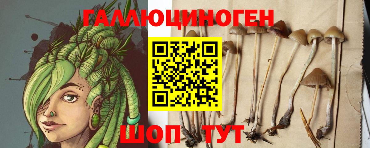 где можно купить   Галлюциногенные грибы ЛСД  Вход с VPN  Саки  Галлюциногенные грибы прущие грибы 